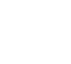 LXSI